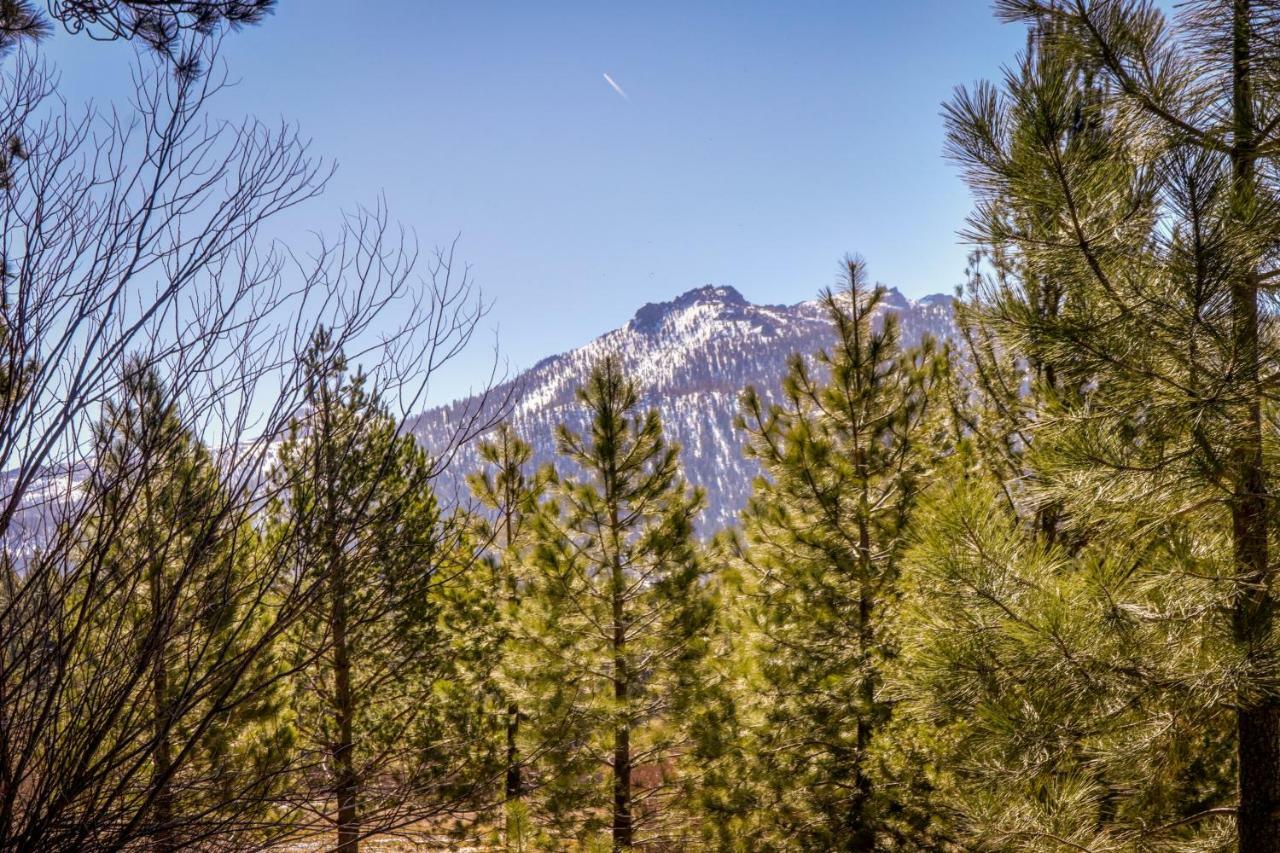 Cozy Seclusion Villa South Lake Tahoe Exterior photo